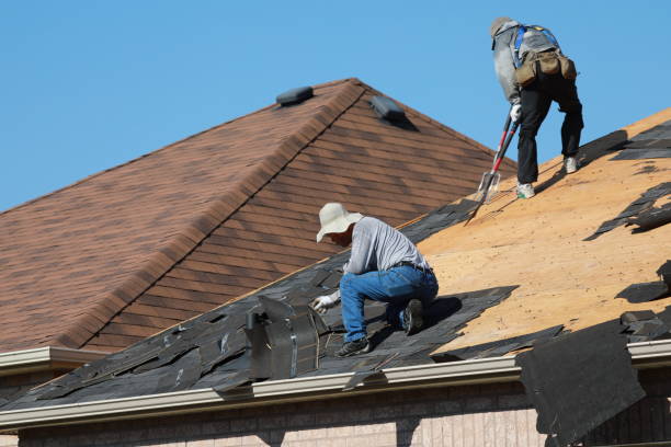 Best Roof Maintenance and Cleaning  in Lucas, TX